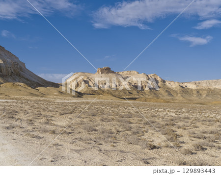 ボズジラの景観～カザフスタン・ウスチュルト台地 / Bozzhira, Kazakhstan 129893443