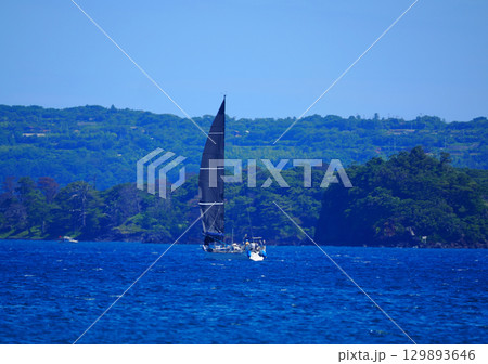 菊ヶ浜をヨットが走る風景 菊ヶ浜をヨットが走る風景 129893646