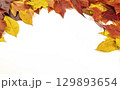 A frame on a white background of colorful autumn leaves. 129893654