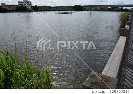 牛久沼 茨城県龍ヶ崎市 牛久沼 茨城県龍ヶ崎市 129893812