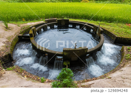円形分水（大分県竹田市） 129894248