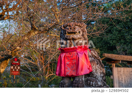 朝の金峯山寺－吉野 129894502