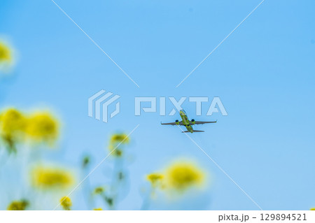青空を背景に飛行機　(コピースペース素材) 129894521