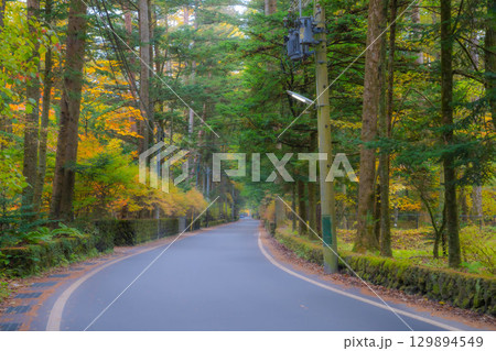 【秋素材】紅葉シーズンの霧に包まれた軽井沢の風景【長野県】 129894549