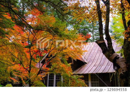 【秋素材】紅葉シーズンの霧に包まれた軽井沢の風景【長野県】 【秋素材】紅葉シーズンの霧に包まれた軽井沢の風景【長野県】 129894558
