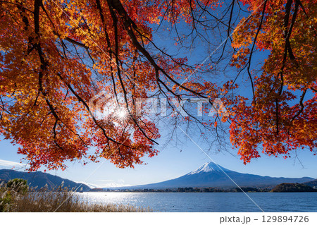 【富士山素材】秋の河口湖から見る冠雪した富士山と紅葉【山梨県】 129894726