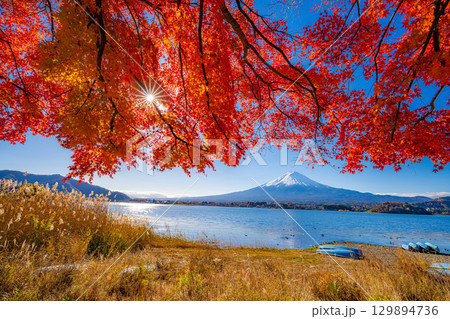 【富士山素材】秋の河口湖から見る冠雪した富士山と紅葉【山梨県】 129894736