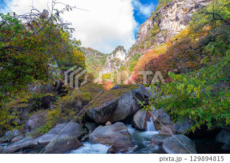 【紅葉素材】昇仙峡のシンボル覚円峰の紅葉【山梨県】 129894815