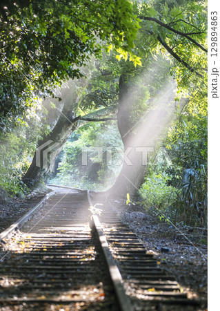 光芒が差し込む廃線跡 光芒が差し込む廃線跡 129894863