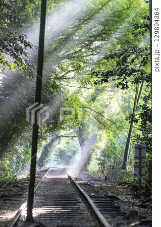 光芒が差し込む廃線跡 129894864