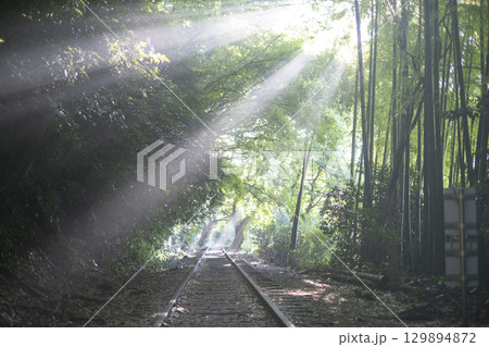 光芒が差し込む廃線跡 129894872