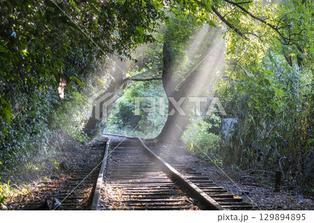 光芒が差し込む廃線跡 129894895