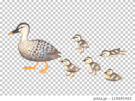 kalgamo的父母和孩子 129895483