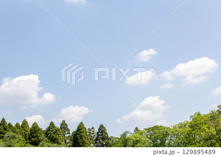 東京都調布市5月の空(2025年5月13日) 東京都調布市5月の空(2025年5月13日) 129895489