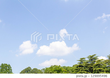 東京都調布市5月の空（2025年5月13日） 129895496