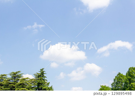 東京都調布市5月の空（2025年5月13日） 129895498