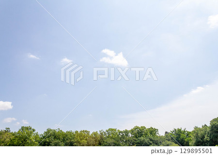 東京都調布市5月の空（2025年5月13日） 129895501