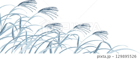 ススキの水墨画風背景イラスト ススキの水墨画風背景イラスト 129895526