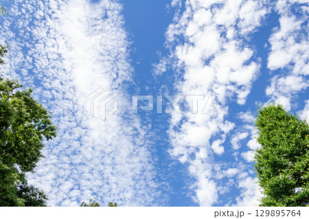 東京都調布市6月の空（2025年6月14日） 129895764