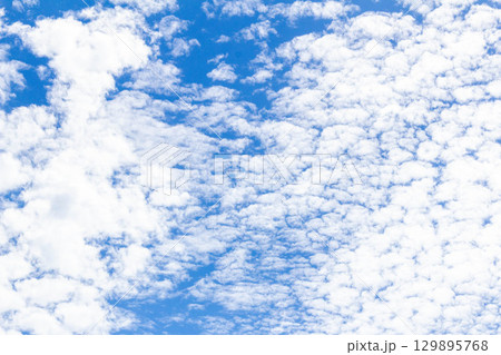 東京都調布市6月の空（2025年6月14日） 129895768