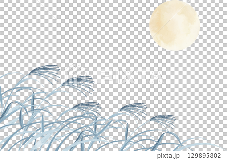 紺色のススキと満月の背景イラスト 紺色のススキと満月の背景イラスト 129895802