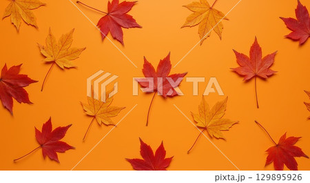 モミジの葉とオレンジの背景 129895926