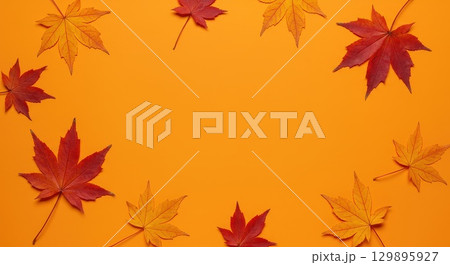 モミジの葉とオレンジの背景 モミジの葉とオレンジの背景 129895927