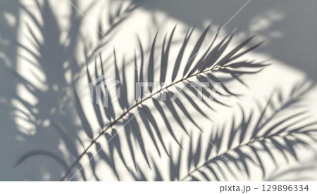 Palm leaves cast shadows on a wall, creating a vibrant summer background filled with tropical vibes 129896334