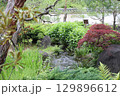 春の公園の庭園風景 129896612