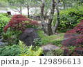 春の公園の庭園風景 129896613