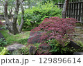 春の公園の庭園風景 129896614