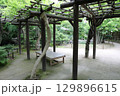 春の公園の庭園風景 129896615