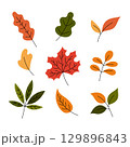 Fall leaves vector set. Autumn leaf clipart, flat doodle illustrations. Colorful hand drawn botanical collection. Yellow, green and red colors 129896843