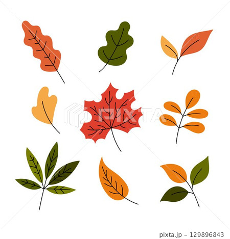 Fall leaves vector set. Autumn leaf clipart, flat doodle illustrations. Colorful hand drawn botanical collection. Yellow, green and red colors 129896843