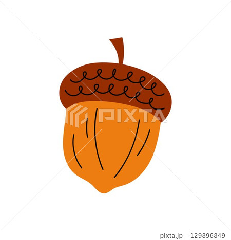 Simple acorn vector element. Acorn isolated on white background, cute hand drawn illustration 129896849