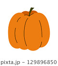 Simple pumpkin vector isolated element. Colorful orange vegetable. Symbol of fall, autumn harvest, Thanksgiving and Halloween. Squash cute hand drawn illustration 129896850