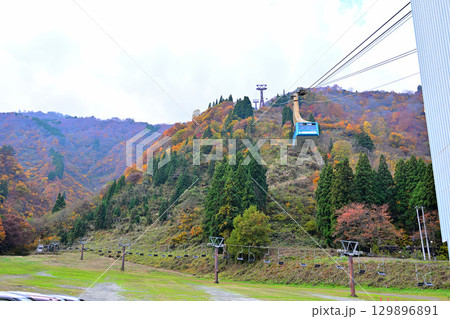湯沢高原ロープウエイ乗り場付近の紅葉 湯沢高原ロープウエイ乗り場付近の紅葉 129896891
