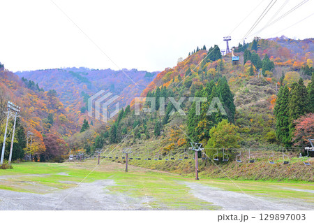 湯沢高原ロープウエイ乗り場付近の紅葉　　 129897003