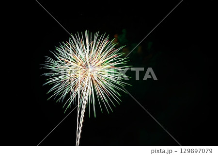 高知市納涼花火大会の放射状に広がる花火 高知市納涼花火大会の放射状に広がる花火 129897079