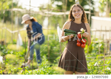 Positive woman in dress posing with tomatoes, zucchini and green onions in garden Positive woman in dress posing with tomatoes, zucchini and green onions in garden 129897080