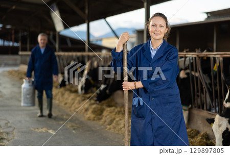 Farmer engaged in breeding of cows posing in cowshed Farmer engaged in breeding of cows posing in cowshed 129897805