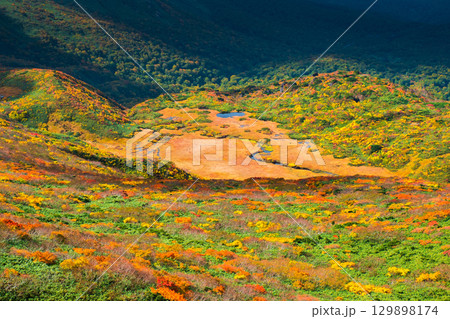 秋の栗駒山登山（栗駒山～秣岳 ： 龍泉ヶ原） 129898174