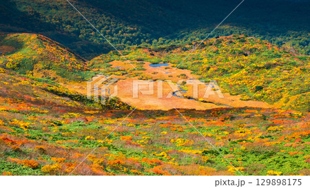 秋の栗駒山登山(栗駒山~秣岳 : 龍泉ヶ原) 秋の栗駒山登山(栗駒山~秣岳 : 龍泉ヶ原) 129898175