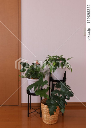 観葉植物のある部屋 観葉植物のある部屋 129898282