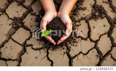 Hands gently cradle a green plant in a desert landscape, symbolizing hope for World Environment Day 129898325