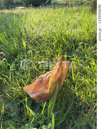A Discarded Paper Bag Found on the Grassland Area Contributes to Environmental Pollution A Discarded Paper Bag Found on the Grassland Area Contributes to Environmental Pollution 129898696