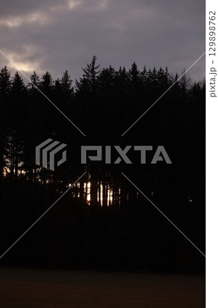 Forest at dusk with the sun setting behind the trees 129898762
