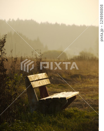 Wooden bench sits in a field of tall grass 129898808