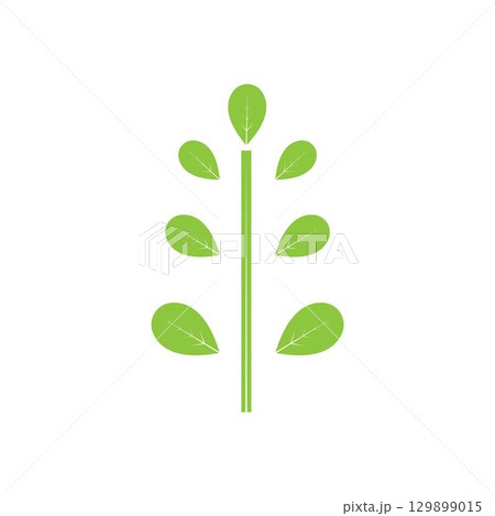 Moringa leaf logo illustration vector design 129899015