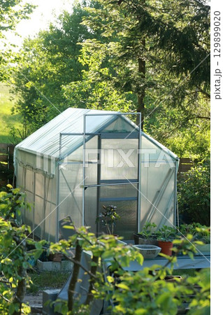 A greenhouse with a green roof and a white roof A greenhouse with a green roof and a white roof 129899020